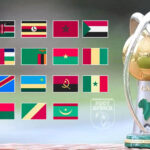 Championnat d’Afrique des Nations 2025: Épilogue de la compétition pour la Guinée et le Niger