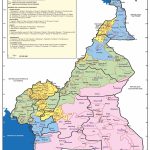La classification et localisation des langues du Cameroun : Le guide ultime du cours de Langues Nationales